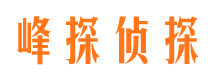 彰武市调查公司